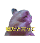 谷口きなこ1st.（個別スタンプ：8）