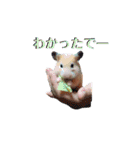谷口きなこ1st.（個別スタンプ：10）