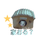 谷口きなこ1st.（個別スタンプ：11）