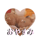 谷口きなこ1st.（個別スタンプ：12）