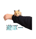 谷口きなこ1st.（個別スタンプ：15）