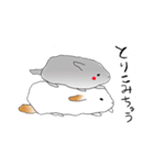 チンチラの、なう（個別スタンプ：9）