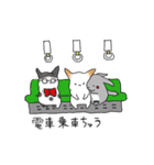 チンチラの、なう（個別スタンプ：10）