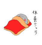チンチラの、なう（個別スタンプ：23）