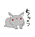 チンチラの、なう（個別スタンプ：33）