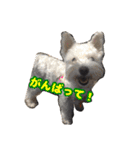 あんずさん、おまめさん、その4。（個別スタンプ：2）