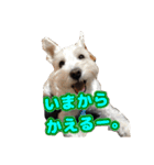 あんずさん、おまめさん、その4。（個別スタンプ：4）