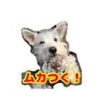あんずさん、おまめさん、その4。（個別スタンプ：8）