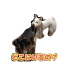 あんずさん、おまめさん、その4。（個別スタンプ：15）