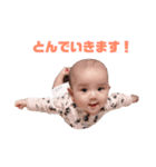 かやさやスタンプ（個別スタンプ：9）