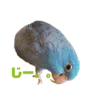 インコの集い（個別スタンプ：27）