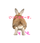 ちょふりんの毎日2（個別スタンプ：5）