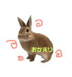 ちょふりんの毎日2（個別スタンプ：7）