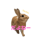 ちょふりんの毎日2（個別スタンプ：9）