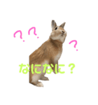 ちょふりんの毎日2（個別スタンプ：15）