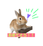 ちょふりんの毎日2（個別スタンプ：28）