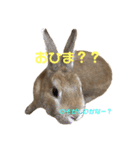 ちょふりんの毎日2（個別スタンプ：35）