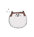 おかっぱねこstamp（個別スタンプ：3）