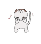 おかっぱねこstamp（個別スタンプ：12）