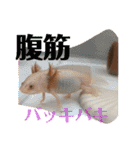 プードルトミー（個別スタンプ：23）