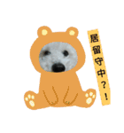 パワフルしようたです（個別スタンプ：3）