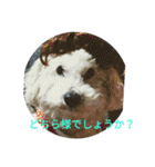 パワフルしようたです（個別スタンプ：4）