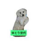 パワフルしようたです（個別スタンプ：6）