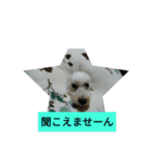 パワフルしようたです（個別スタンプ：7）