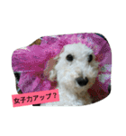 パワフルしようたです（個別スタンプ：9）