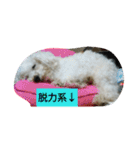 パワフルしようたです（個別スタンプ：11）
