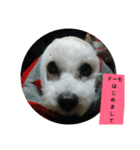 パワフルしようたです（個別スタンプ：12）