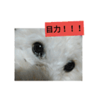 パワフルしようたです（個別スタンプ：14）