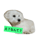 パワフルしようたです（個別スタンプ：18）
