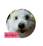 パワフルしようたです（個別スタンプ：22）