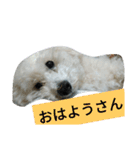 パワフルしようたです（個別スタンプ：23）