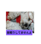パワフルしようたです（個別スタンプ：24）