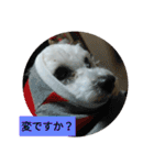 パワフルしようたです（個別スタンプ：25）