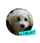 パワフルしようたです（個別スタンプ：27）