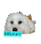 パワフルしようたです（個別スタンプ：29）