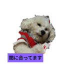 パワフルしようたです（個別スタンプ：31）