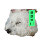 パワフルしようたです（個別スタンプ：32）