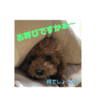 我が家のスタンプ①（個別スタンプ：8）