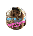 我が家のスタンプ①（個別スタンプ：10）