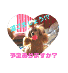 我が家のスタンプ①（個別スタンプ：11）