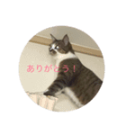 テっちゃん組2（個別スタンプ：2）