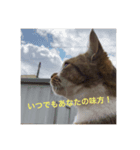 テっちゃん組2（個別スタンプ：4）