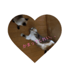 テっちゃん組2（個別スタンプ：6）