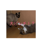 テっちゃん組2（個別スタンプ：7）
