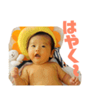 ワニ家の律くん（個別スタンプ：15）