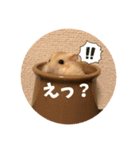 チビコーズスタンプ（個別スタンプ：10）